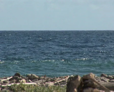 PAL: Ruin Stock Footage 355590