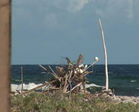 PAL: Ruin Stock Footage 355598