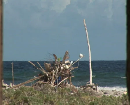 PAL: Ruin Stock Footage 355605