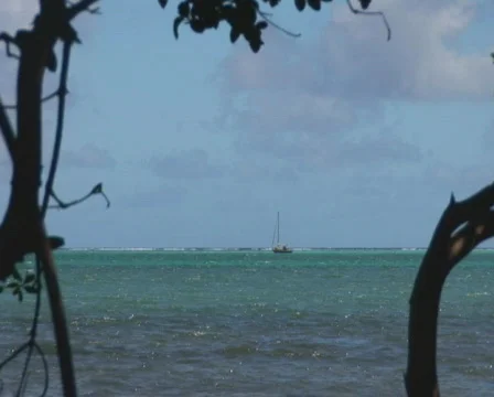 PAL: Sailboat Stock Footage 349284