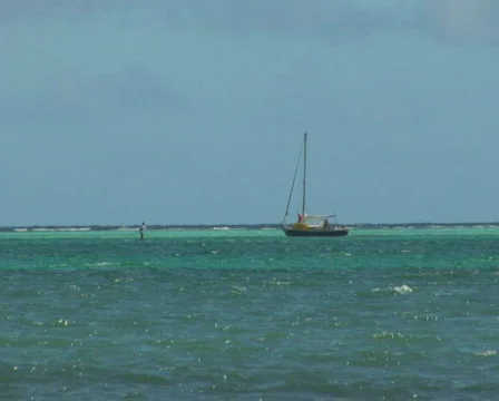 PAL: Sailboat Stock Footage 349293
