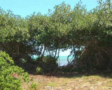 PAL: Sailboat Stock Footage 349299