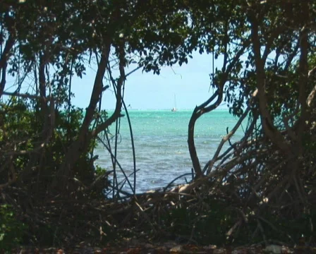 PAL: Sailboat Stock Footage 349305