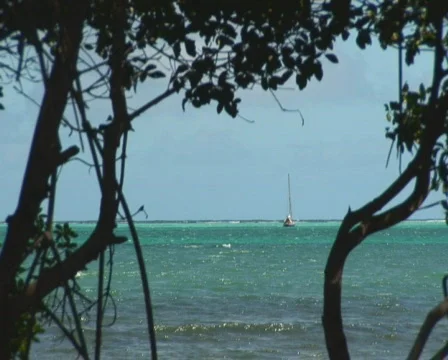 PAL: Sailboat Stock Footage 349310