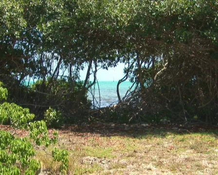 PAL: Sailboat Stock Footage 349318