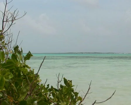 PAL: Sailboat Stock Footage 358112