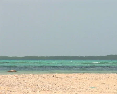 PAL: Sailboat Stock Footage 358139