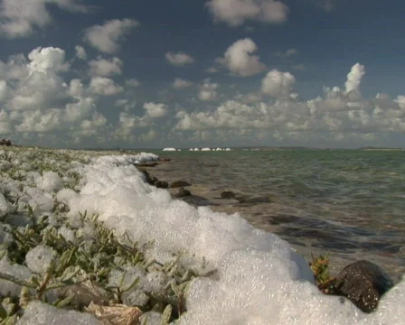 PAL: Salt  Stock Footage 355627