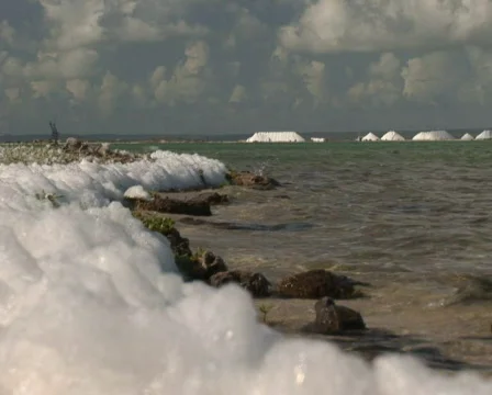 PAL: Salt  Stock Footage 355634