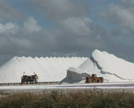 PAL: Salt  Stock Footage 355791