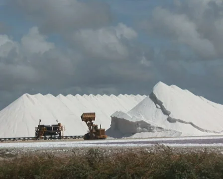 PAL: Salt  Stock Footage 355795