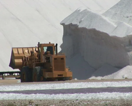 PAL: Salt  Stock Footage 355797