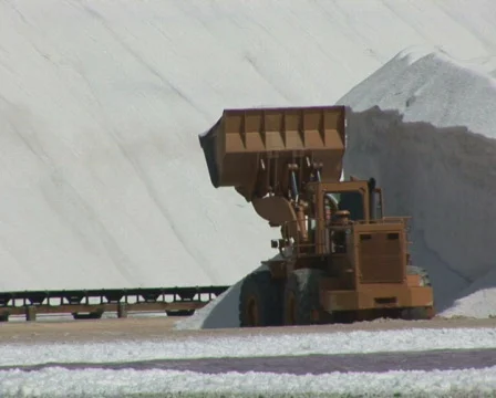 PAL: Salt  Stock Footage 355800
