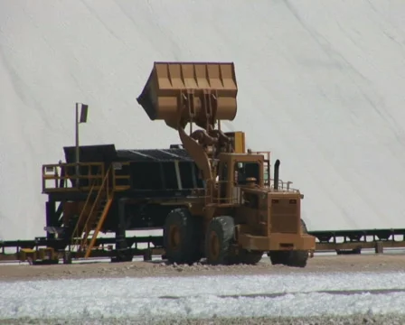 PAL: Salt  Stock Footage 355802