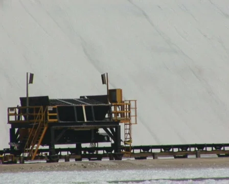 PAL: Salt  Stock Footage 355804