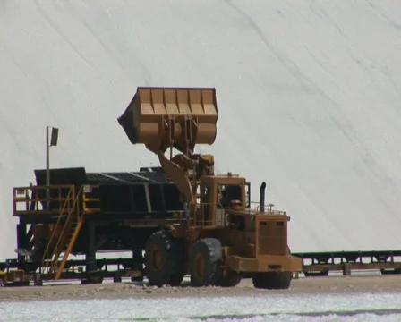 PAL: Salt  Stock Footage 355807