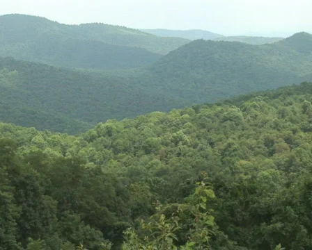 PAL: Shenandoah Mountains Stock Footage 153675