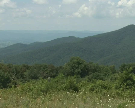 PAL: Shenandoah Mountains Stock Footage 153678