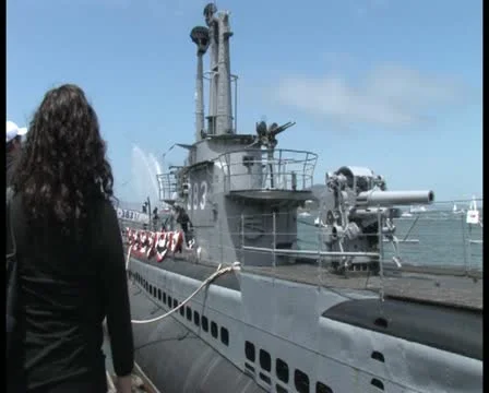 PAL Submarine 4 Stock Footage 11358232
