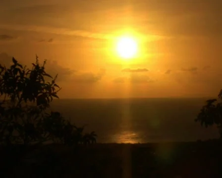 PAL: Sunset Stock Footage 355635