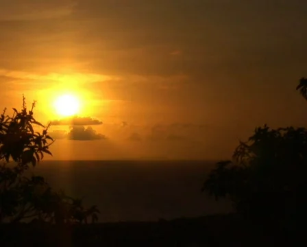 PAL: Sunset Stock Footage 355638