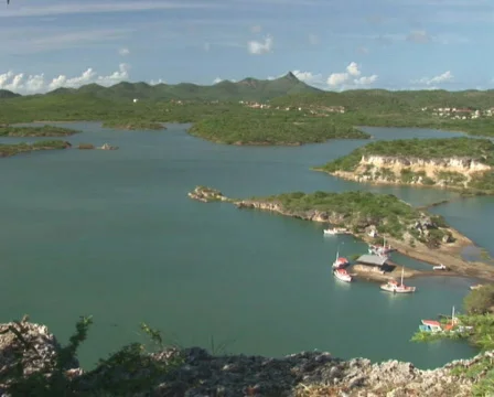 PAL: Tropical bay Stock Footage 355756