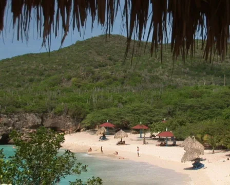 PAL: Tropical beach Stock Footage 355716