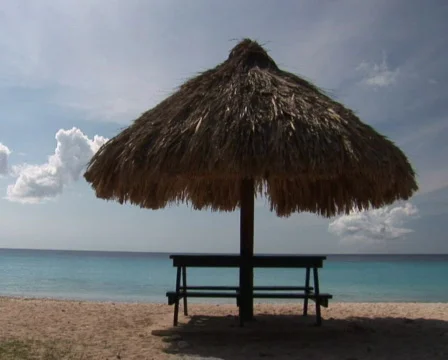 PAL: Tropical beach Stock Footage 355725