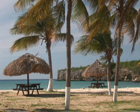 PAL: Tropical beach Stock Footage 355735