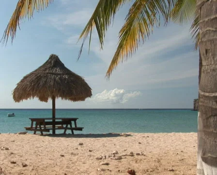 PAL: Tropical beach Stock Footage 355748