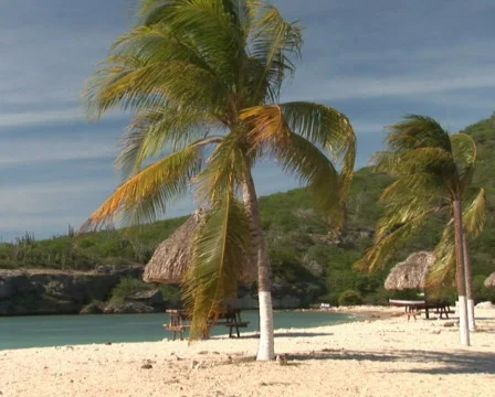 PAL: Tropical beach Stock Footage 355754