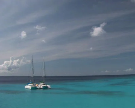 PAL two sailboats`` Stock Footage 355724