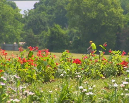 PAL: Washington DC Stock Footage 153807