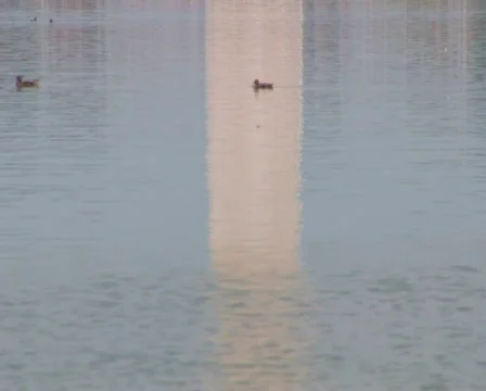 PAL: Washington Monument Stock Footage 153844