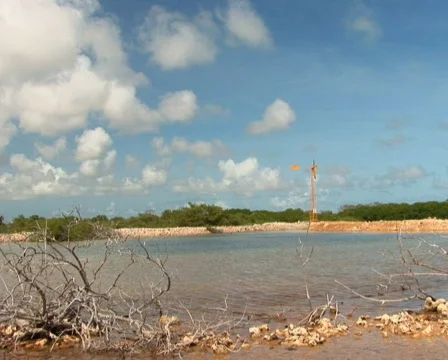 PAL: Windmill Stock Footage 349354