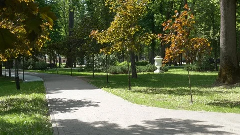 Palace and park ensemble of the Rumyantsevs Paskevichi. Cozy green park. Stock Footage 108318161