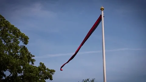 Palace Banner on Flagpole in the Wind Stock Footage 82727427