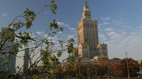 Palace of Culture and Science in Warsaw, framed by bush. Stock Footage 59089377