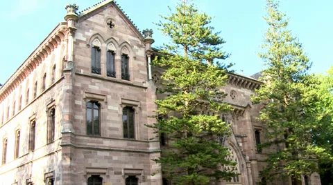 Palace Video stock 34668858