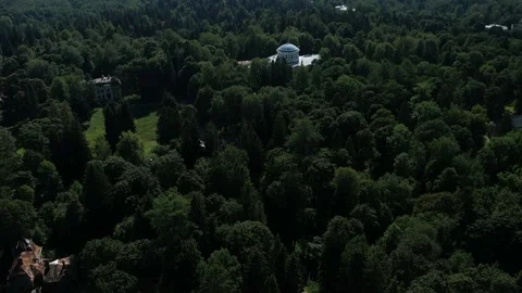 Palace in the forest Stock Footage 158704132