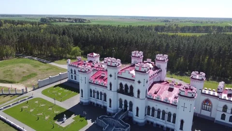 Palace in the forest Video stock 194492245