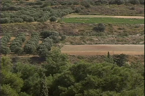 Palace Grounds-zoom Video stock 819396