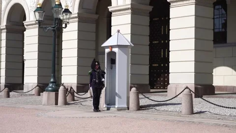Palace guard Stock Footage 244684408