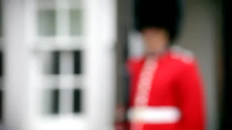 Palace Guards.mp4 Stock Footage 11375647