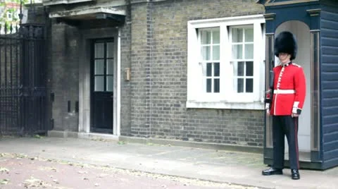 Palace Guards.mp4 Stock Footage 11376028