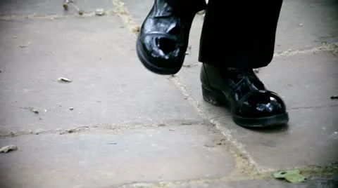 Palace Guards.mp4 Stock Footage 11376039