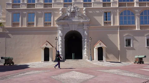 Palace in Monaco Stock Footage 220875806