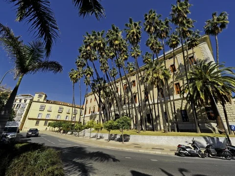 Palacio de la Aduana, location of the Malaga museum in Malaga, Spain. Video stock 85835061