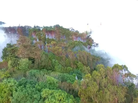 Palácio Nacional de Pena 스톡 동영상 74691544