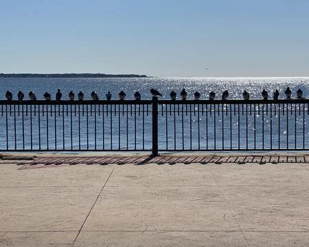 Palafox Pier Stock Photos